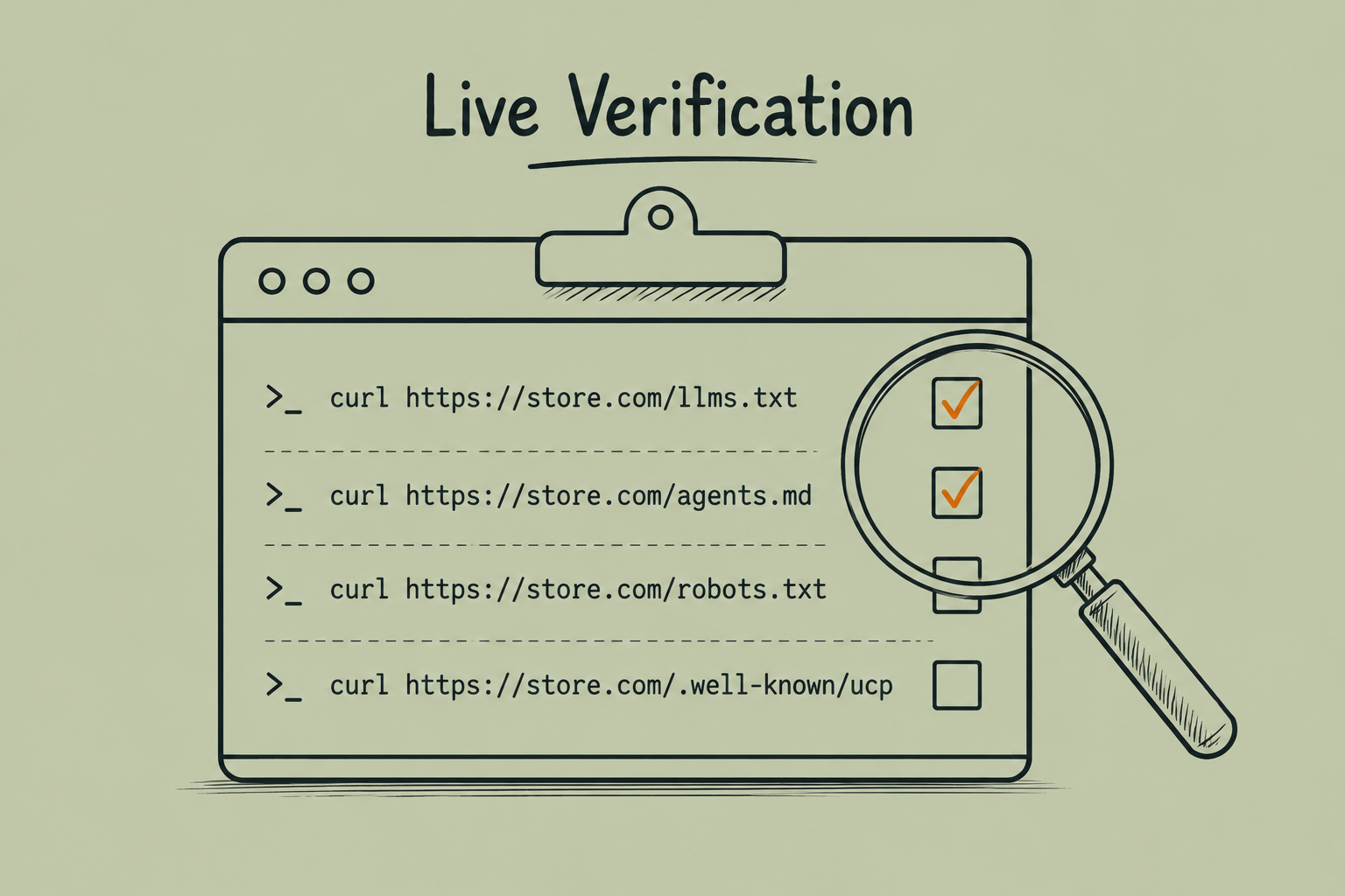 Illustration showing verification of llms.txt, agents.md, robots.txt, and UCP endpoints for Shopify stores using command-line checks.