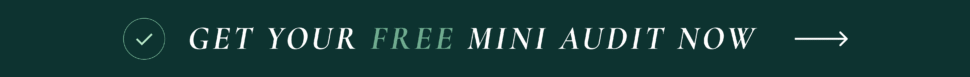 Free Mini Audit
