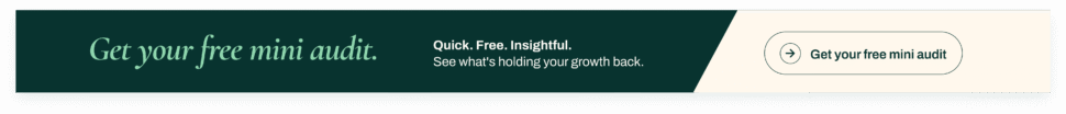 Free Mini Audit